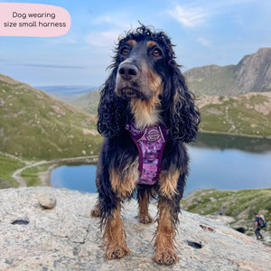 Tough Trails™ Harness - Roaming Wild