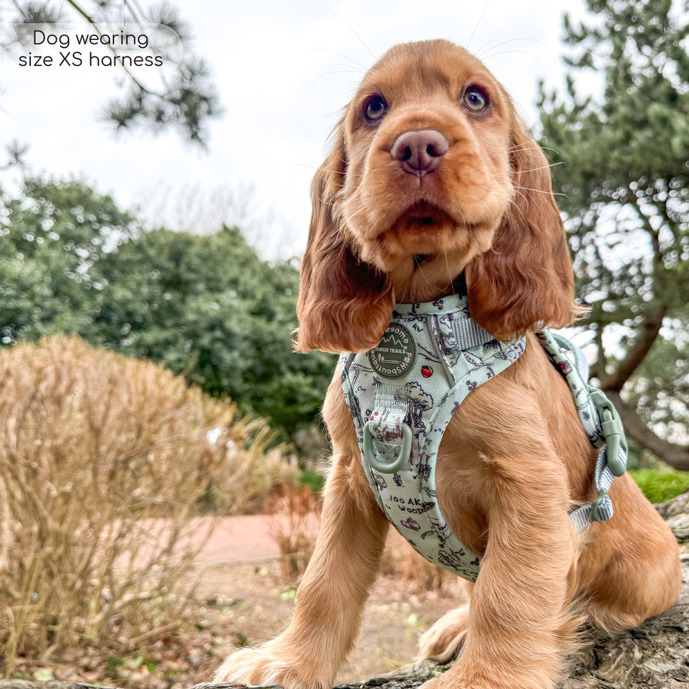 Disney© Tough Trails™ Harness - 100 Aker Wood