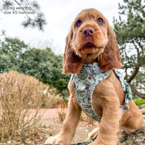 Disney© Tough Trails™ Harness - 100 Aker Wood