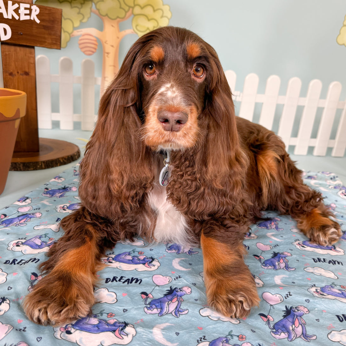 Disney© Dog Blanket - Eeyore