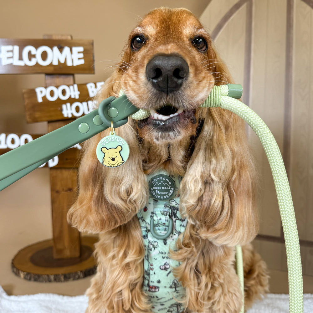 Disney© 4ft Rope Lead - 100 Aker Wood - Light and Dark Green