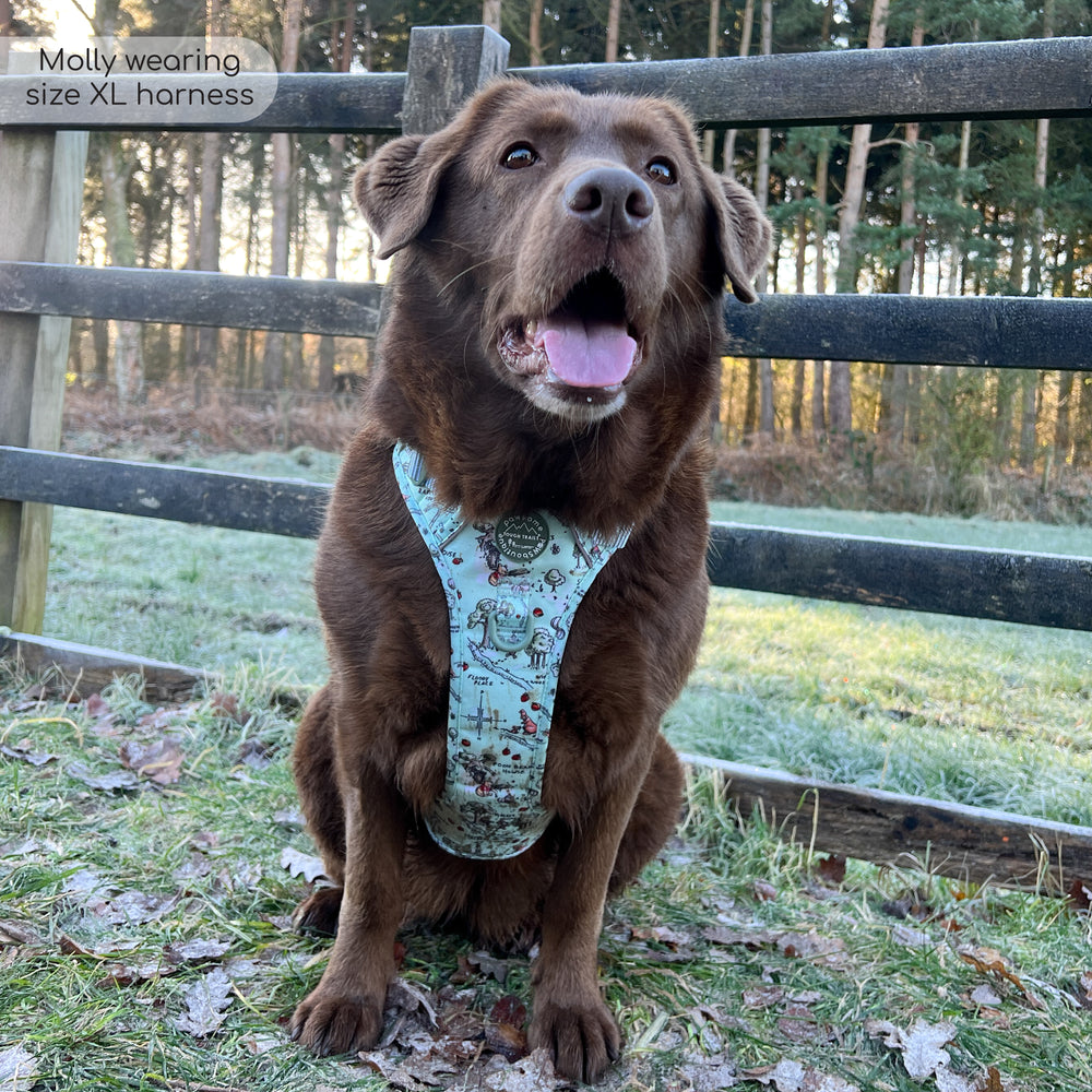 Disney© Tough Trails™ Harness - 100 Aker Wood