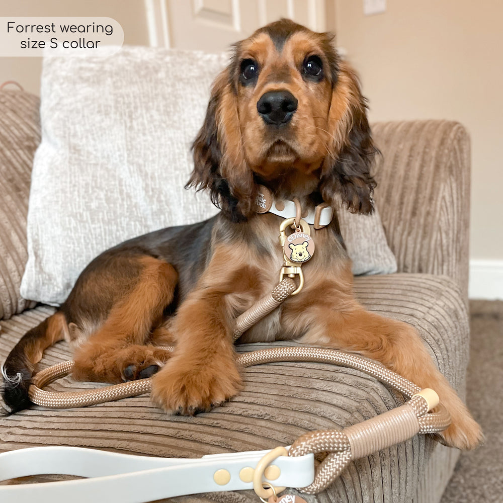 Disney© 4ft Rope Lead - Winnie The Pooh - Beige and Brown