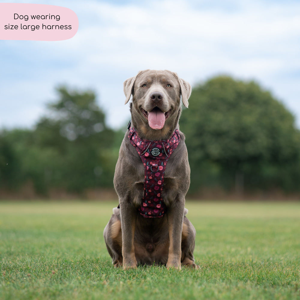 Tough Trails™ Harness - Mable's Meadow