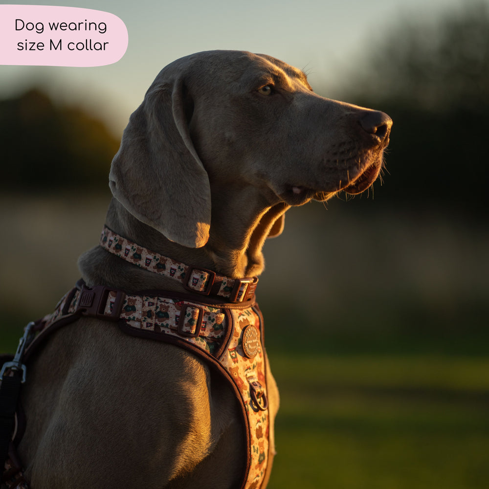 Collar - Snuggle Season