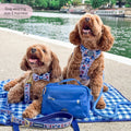 Paddington™ Tough Trails™ Harness - London