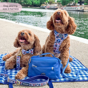 Paddington™ Tough Trails™ Harness - London