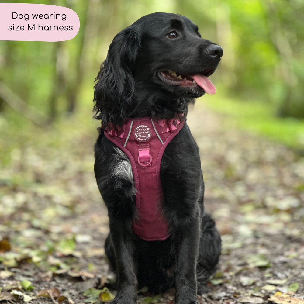 Tough Trails™ Harness - Walkies Ready® Mulberry