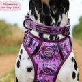 Collar - Roaming Wild