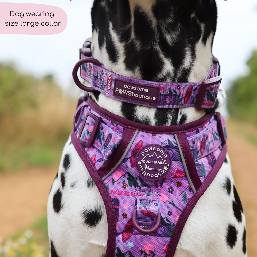 Collar - Roaming Wild