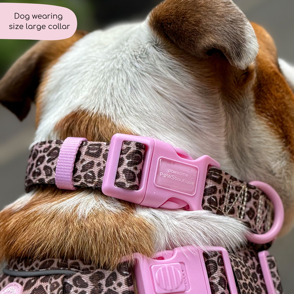 Collar - Leopard Print