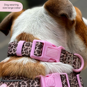 Collar - Leopard Print