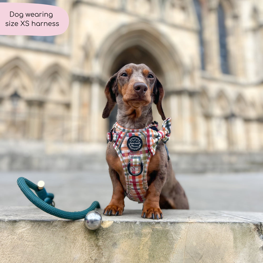 Tough Trails™ Harness - Plaid Pup