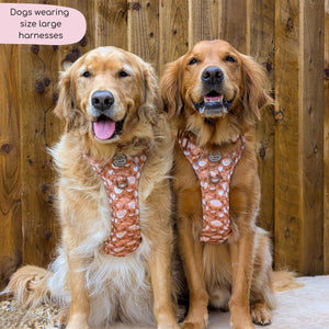 Tough Trails™ Harness - Cinnamon Spice