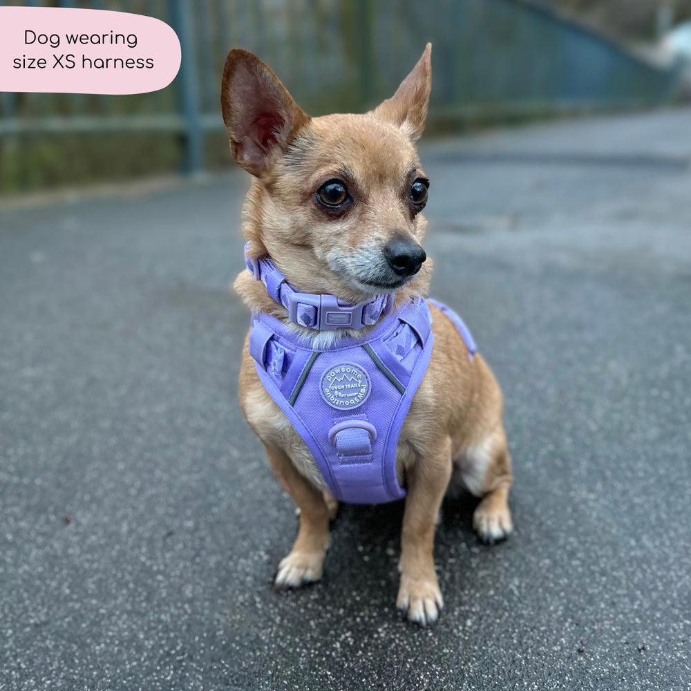 Tough Trails™ Harness - Walkies Ready® Lavender Lilac