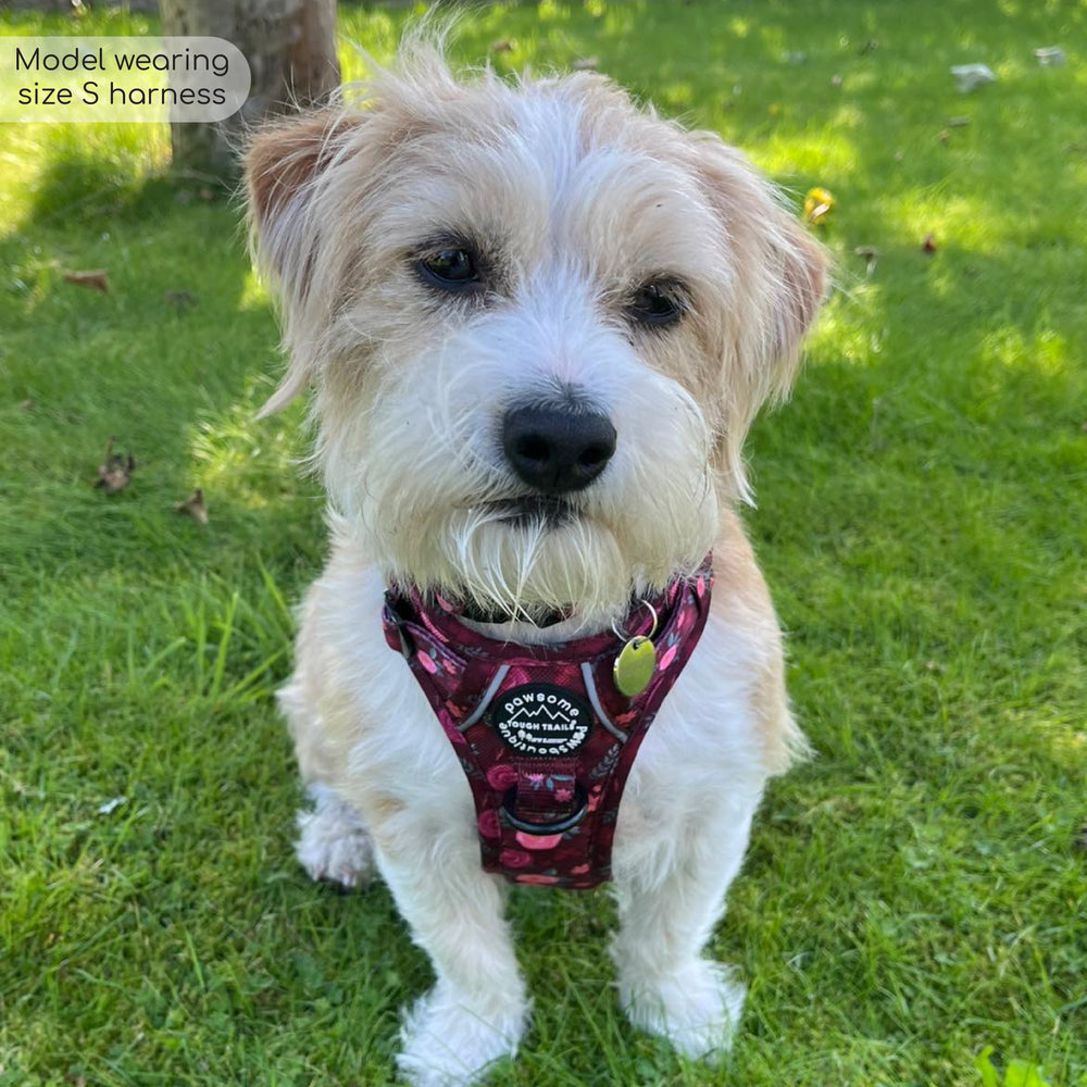 Tough Trails™ Harness - Mable's Meadow