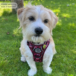 Tough Trails™ Harness - Mable's Meadow