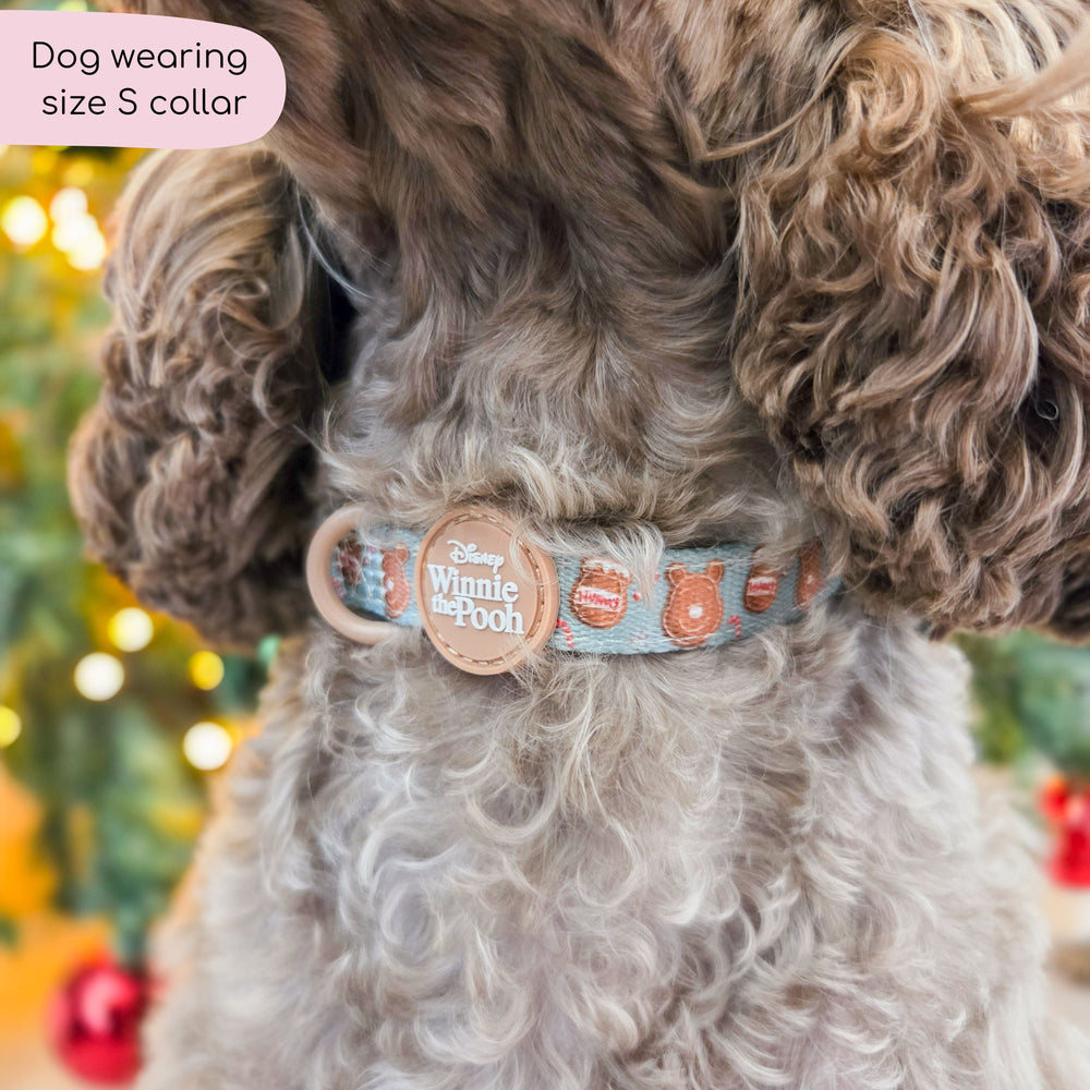 Disney© Collar - Gingerbread Bear Sage