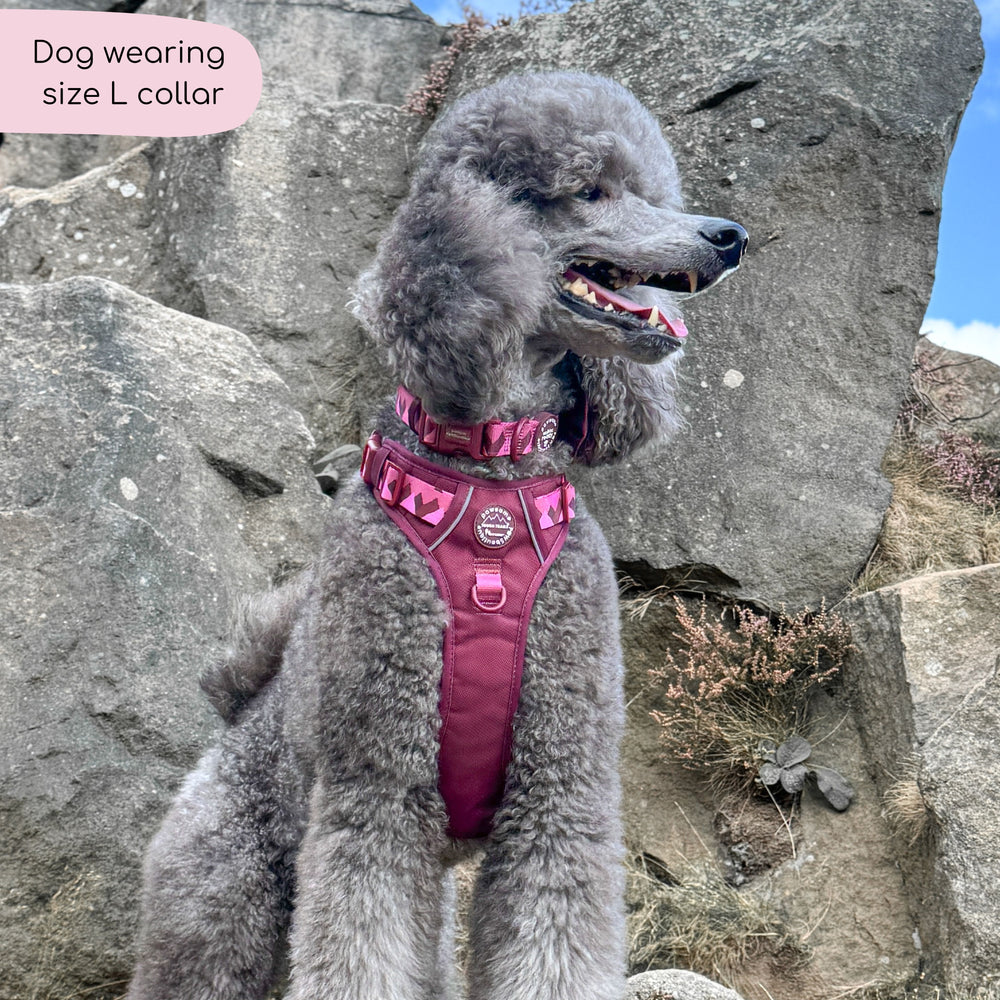 Collar - Walkies Ready® Mulberry