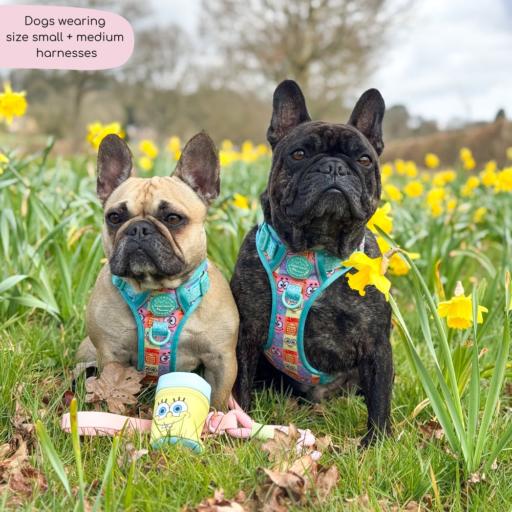 Tough Trails™ Harness - Spongebob