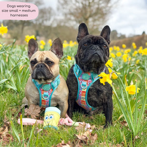 Tough Trails™ Harness - Spongebob