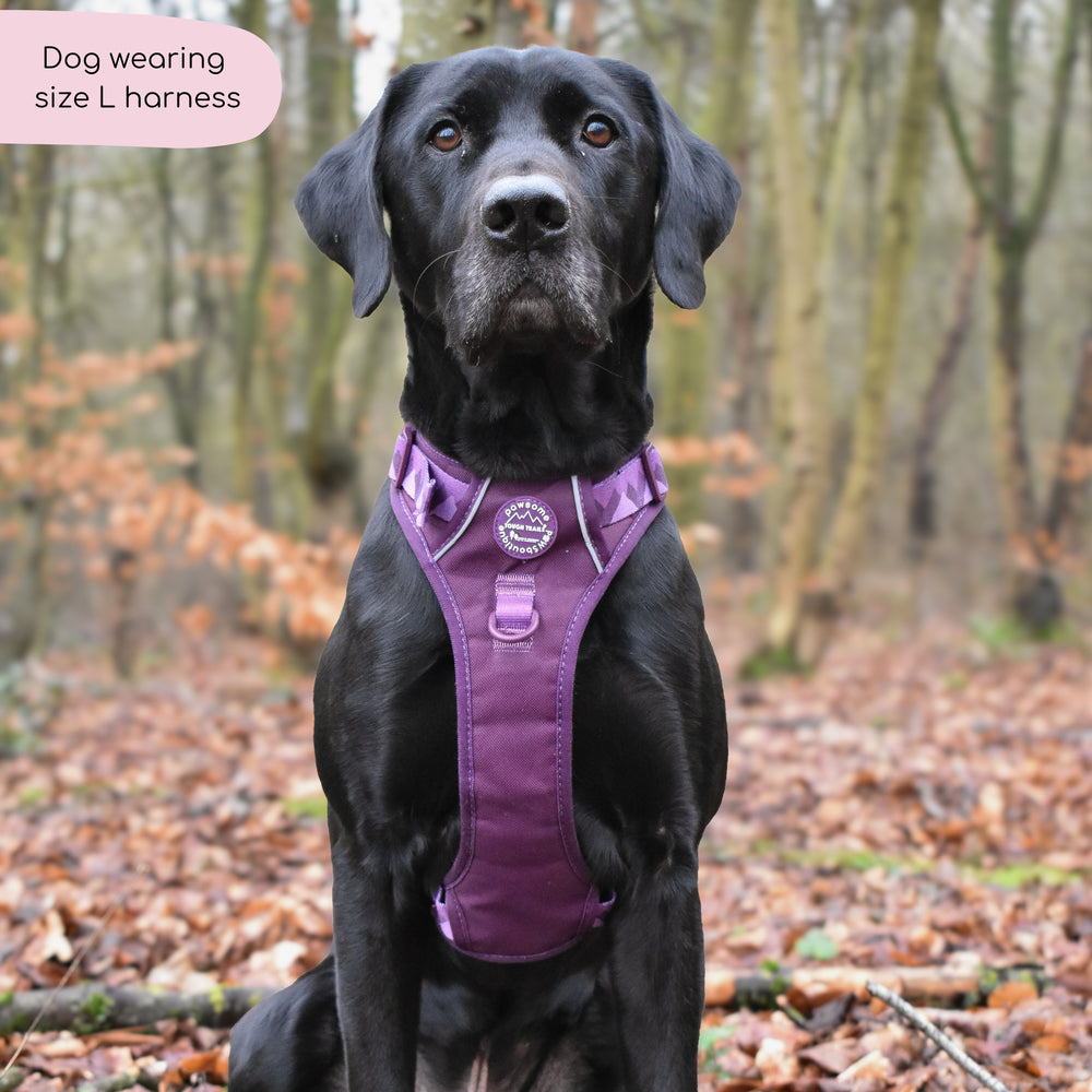 Tough Trails™ Harness - Walkies Ready® Plum