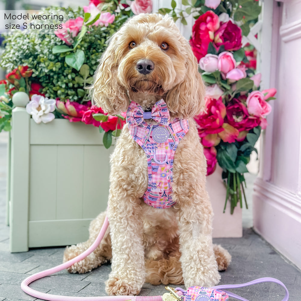 Tough Trails™ Harness - Emily In Paris