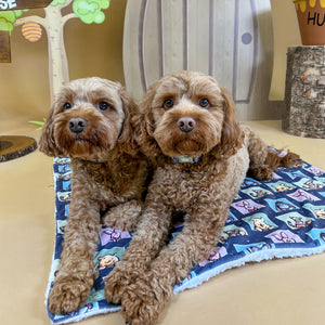 Disney© Dog Blanket - Winnie + Friends