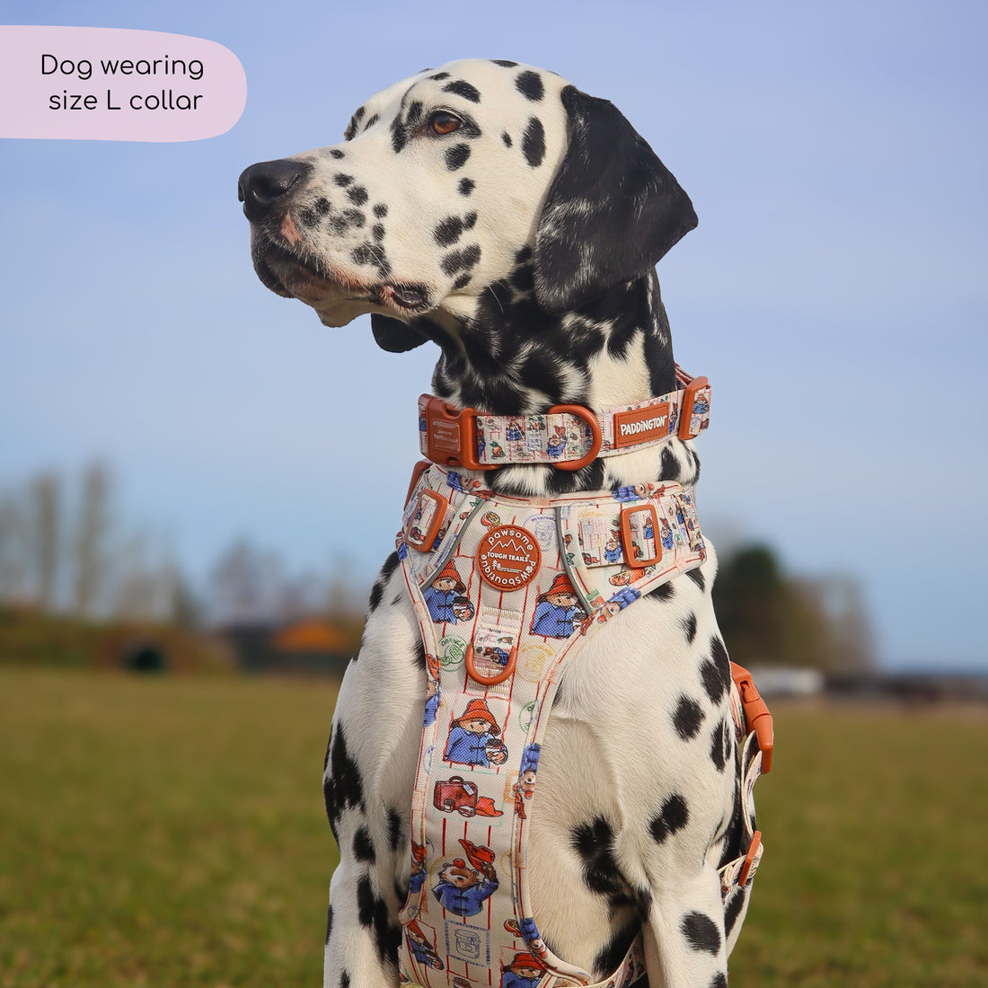 Paddington™ Collar - Peckish Paddington