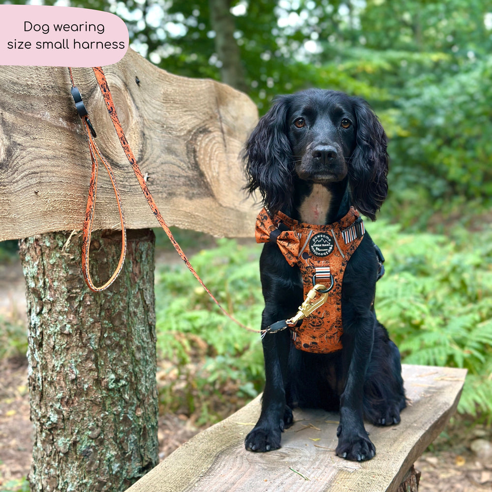 Disney© Tough Trails™ Harness - Halloween