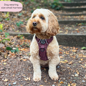 Tough Trails™ Harness - Country Burgundy