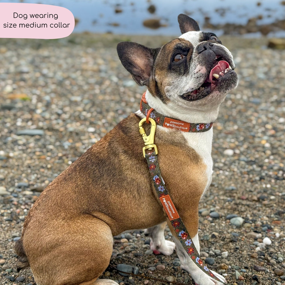 Collar - Rust & Bloom