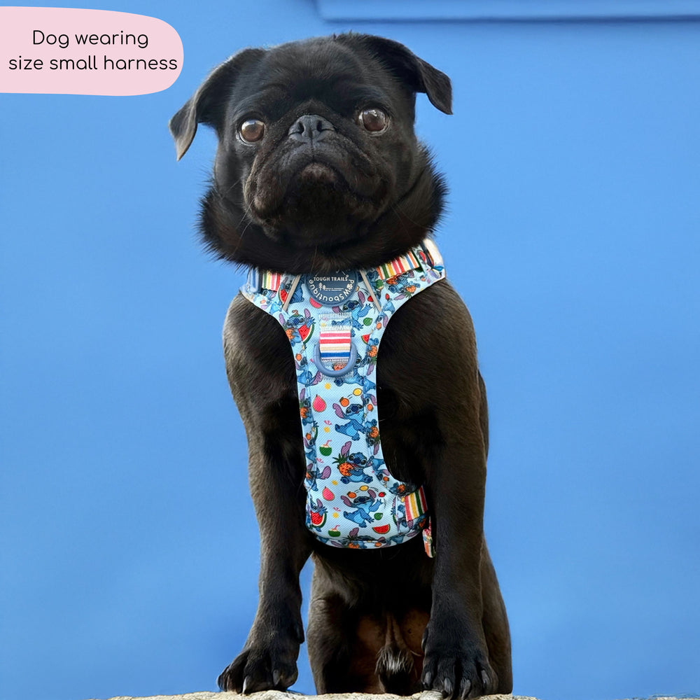 Disney© Tough Trails™ Harness - Stitch's Fruit Fiesta