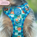 Tough Trails™ Harness -  Fruit Punch