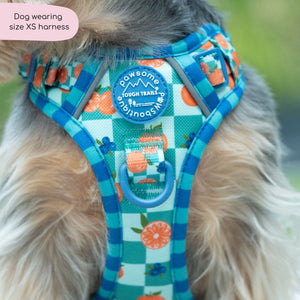Tough Trails™ Harness -  Fruit Punch