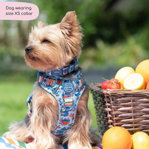 Disney© Collar - Stitch's Fruit Fiesta