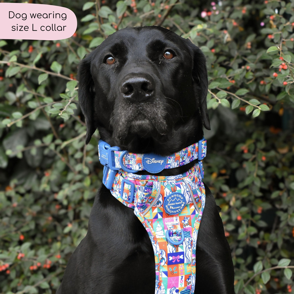 Disney© Collar - Lady + The Tramp