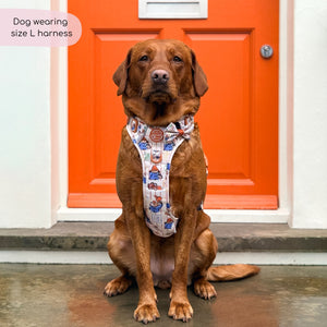 Paddington™ Tough Trails™ Harness - Peckish Paddington