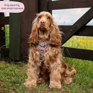 Tough Trails™ Harness -  Cowboy