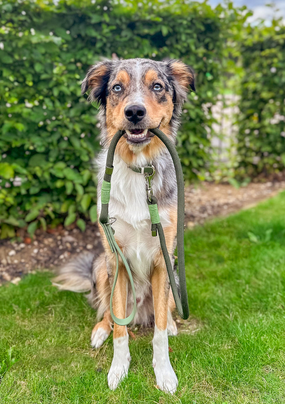 4ft Rope Lead - Khaki