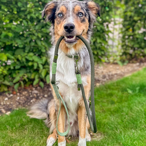 4ft Rope Lead - Khaki