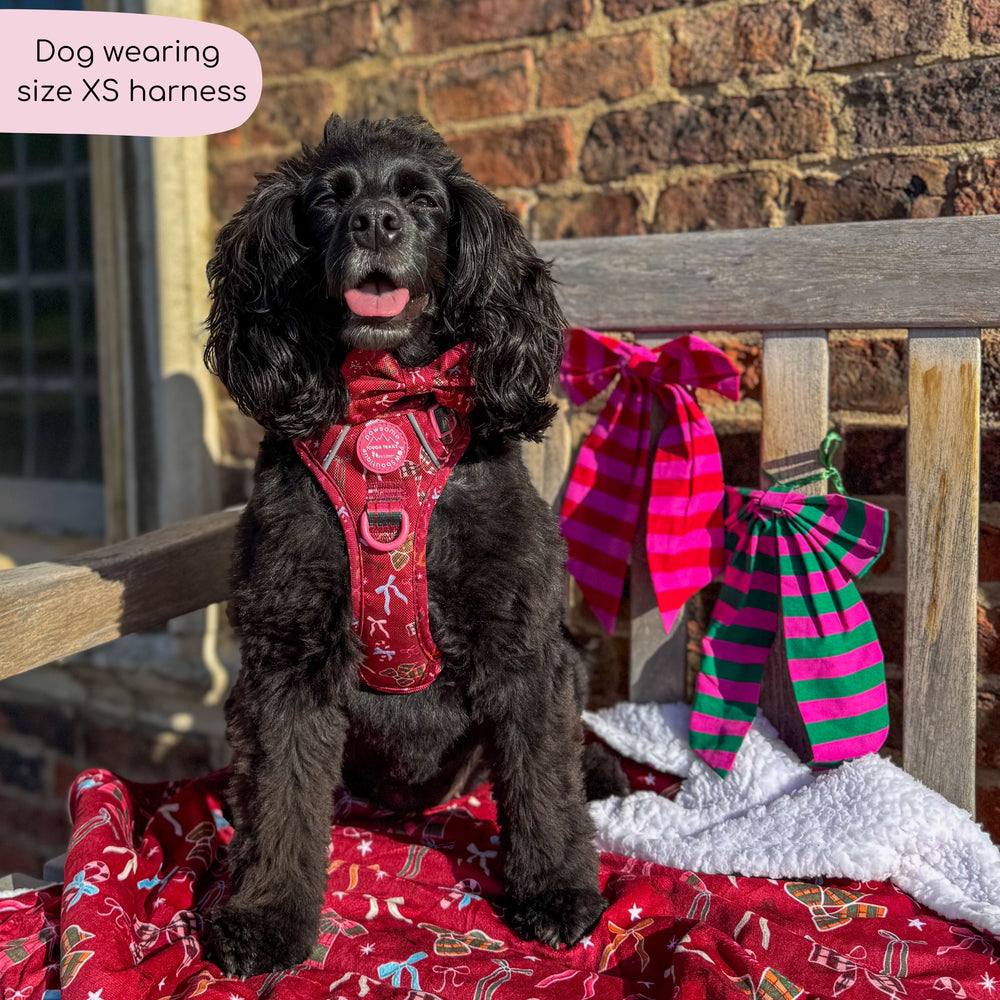 Tough Trails™ Harness - Bows Of Joy