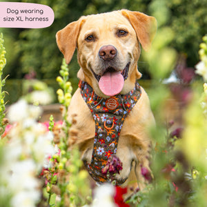 Tough Trails™ Harness - Rust & Bloom