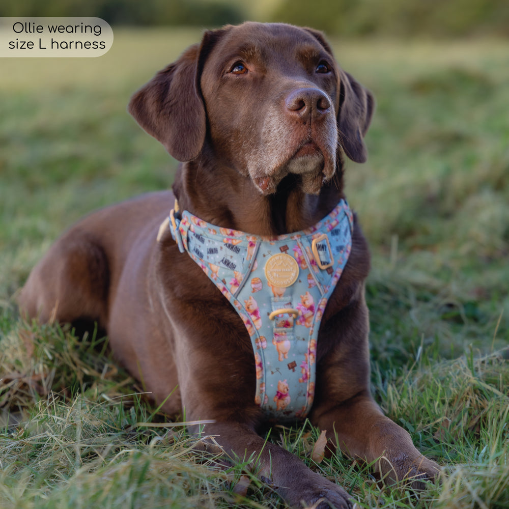 Disney© Tough Trails™ Harness - Winnie The Pooh