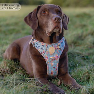 Disney© Tough Trails™ Harness - Winnie The Pooh