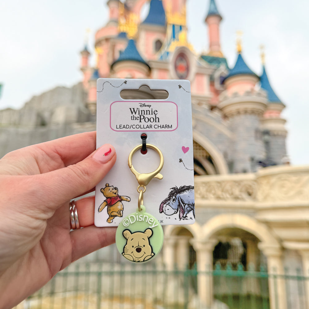 Disney© Collar/Lead Charm - 100 Aker Wood