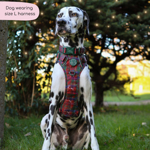 Tough Trails™ Harness - Yuletide Plaid
