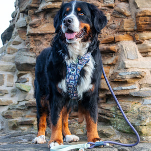 Disney© Tough Trails™ Harness -  Winnie + Friends