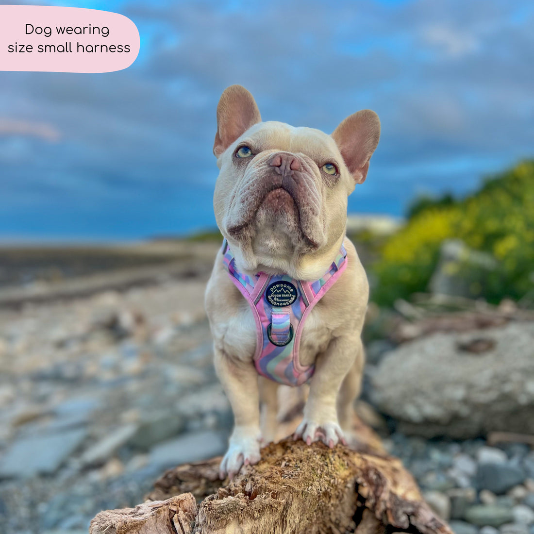 Tough Trails™ Harness - PPB Pastel Swirl