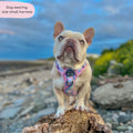 Tough Trails™ Harness - PPB Pastel Swirl